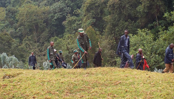 Gishwati-Mukura Landscape is officially a UNESCO Biosphere Reserve ...